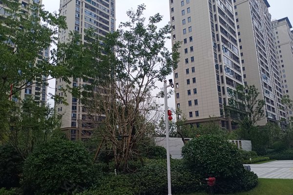 中梁东阳府优点、不足,中梁东阳府怎么样,中梁东阳府周边房产中介经纪人评价-金华安居客